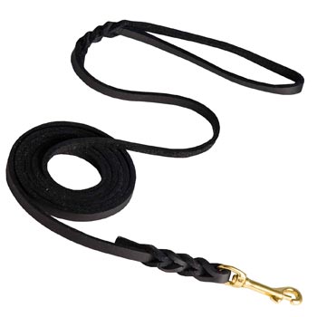 Training Leather Swiss Mountain Dog Leash with Amazing Braids
