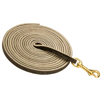 Training Leather Swiss Mountain Dog Leash