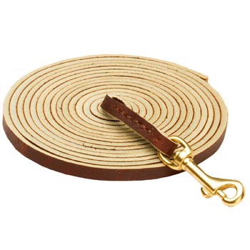 Tracking Brown Leather Swiss Mountain Dog Leash