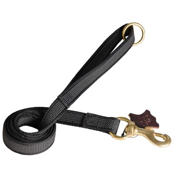 Nylon Leash for Swiss Mountain Dog Training will Help to Achieve Great Results