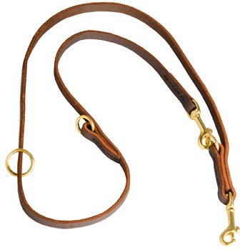 Multipurpose Leather Swiss Mountain Dog Leash