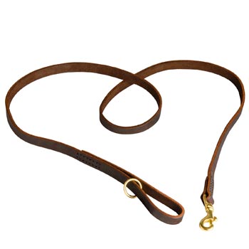 Durable Leather Swiss Mountain Dog Leash