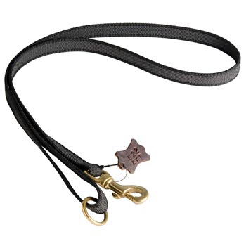 All Weather Nylon Leash for Swiss Mountain Dog Walking