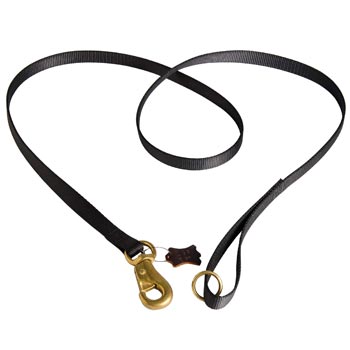 Dog Leash Nylon for Swiss Mountain Dog Everyday Walking 