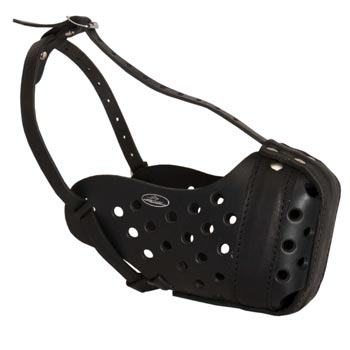Training Leather Dog Muzzle for Swiss Mountain Dog