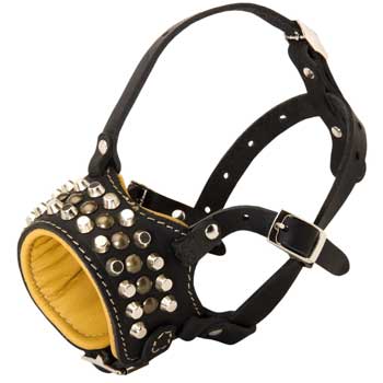 Adjustable Leather Swiss Mountain Dog Muzzle with Studs for Walking Dog 