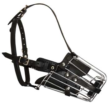 Adjustable Well-Fitting Cage Dog Muzzle for Swiss Mountain Dog