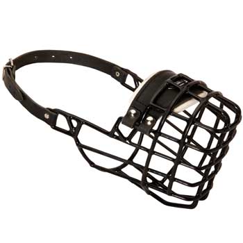Winter Air Flow Metal Rubber Processed Swiss Mountain Dog  Muzzle