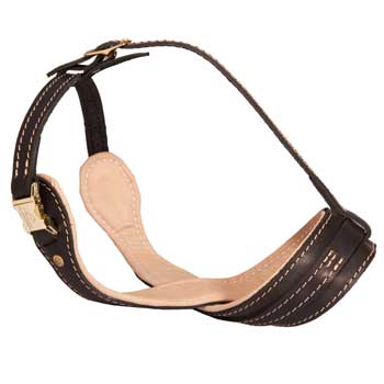 Leather Swiss Mountain Dog Muzzle for Anti-Barking Training