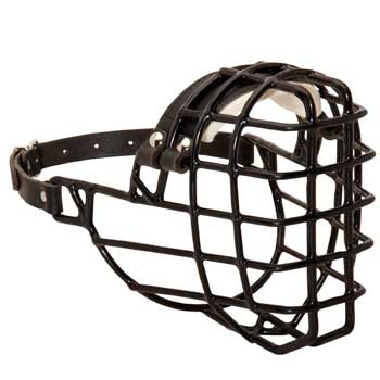 Wire Antifreeze Swiss Mountain Dog Muzzle for Winter Training Walking