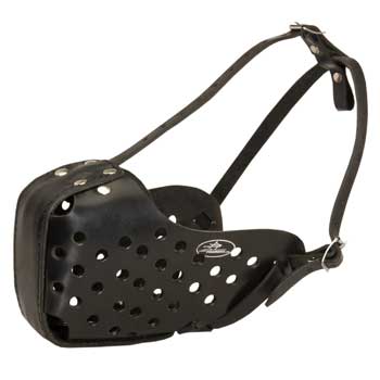 Swiss Mountain Dog Muzzle for Agitation Training