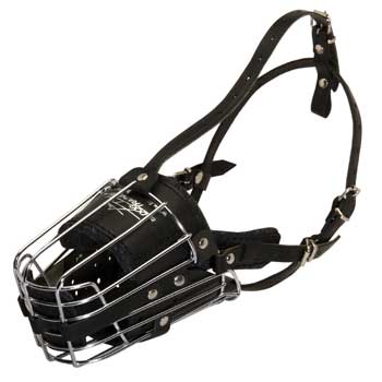 Metal Basket Swiss Mountain Dog Muzzle for Dog Walking Training