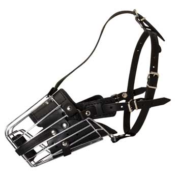 Full Padded Cage Dog Muzzle for Swiss Mountain Dog