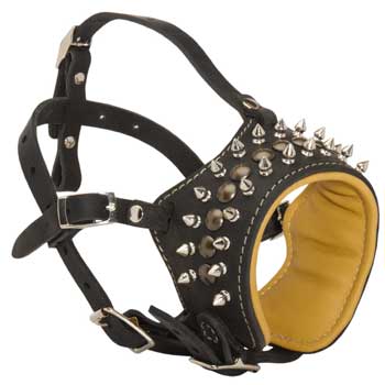 Walking Training Designer Black Dog Muzzle for Swiss Mountain Dog