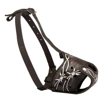 Training Muzzle for Swiss Mountain Dog