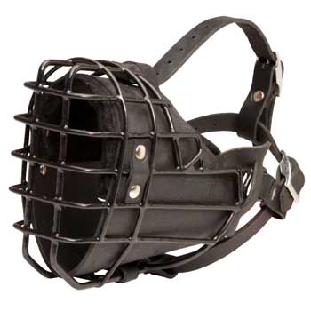 Winter Fully Wire Swiss Mountain Dog Padded Muzzle Cage