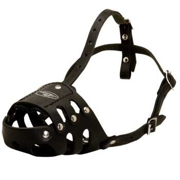 Anti Barking Swiss Mountain Dog Muzzle Leather for Walking Dog