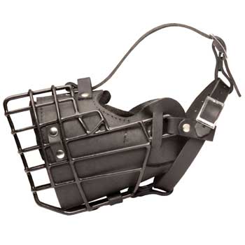 Leather Swiss Mountain Dog Muzzle Padded Metal Basket