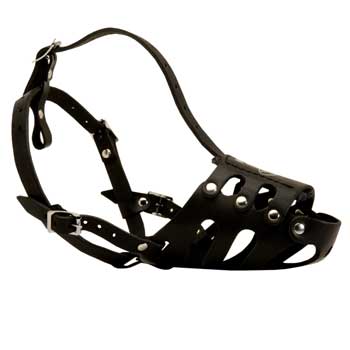 Leather Swiss Mountain Dog Well-Fitting Muzzle
