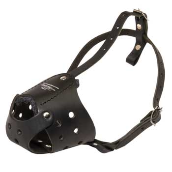 Light in Weight Anti-Barking Swiss Mountain Dog Muzzle