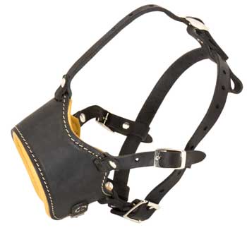 Leather Swiss Mountain Dog Muzzle for No Bark Training Walking