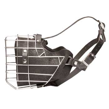 Leather Basket Swiss Mountain Dog Muzzle