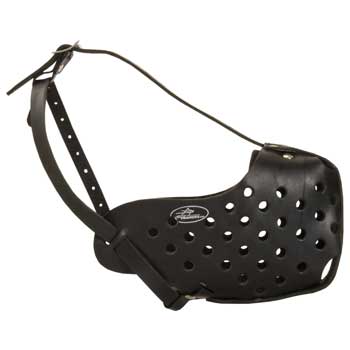 Safe Leather Muzzle for Swiss Mountain Dog Walking