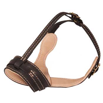 Leather Swiss Mountain Dog Muzzle Padded with Nappa Leather