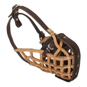 Swiss Mountain Dog Muzzle Leather Mesh for Walking and Training