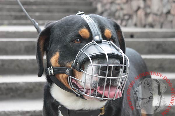 Ergonomic Wire Cage Swiss Mountain Dog Muzzle