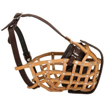 Basket Swiss Mountain Dog Muzzle for Military and Police Work