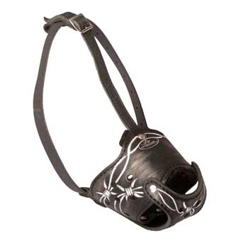 Anti-Barking Muzzle for Swiss Mountain Dog