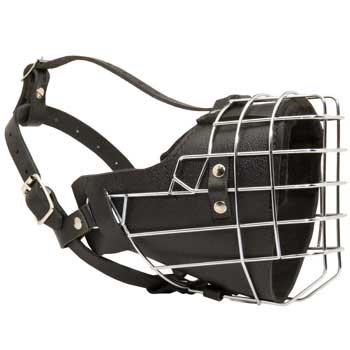 Padded on the Nose Swiss Mountain Dog Muzzle