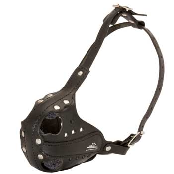 Sof Leather padded Swiss Mountain Dog Muzzle