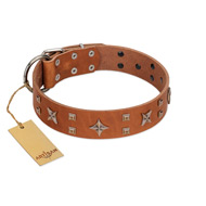 "Dreamy Gleam" FDT Artisan Tan Leather Swiss Mountain Dog Collar Adorned with Stars and Squares