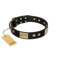 "Antique Gloss" FDT Artisan Black Leather Swiss Mountain Dog Collar with Bronze-like Plates and Small Studs
