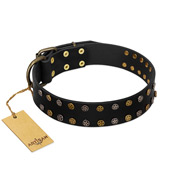 "Star Way" FDT Artisan Black Leather Swiss Mountain Dog Collar with Bronze-like and Silver-like Star Studs