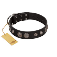 "Tricky Ricky" FDT Artisan Black Leather Swiss Mountain Dog Collar Adorned with Silver-Like Conchos