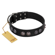 "Silver Medallions" Mod FDT Artisan Black Leather Swiss Mountain Dog Collar with Round Plates