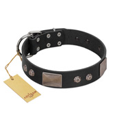 "Square Stars" Modern FDT Artisan Black Leather Swiss Mountain Dog Collar with Square Plates and Studs