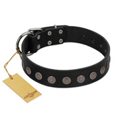 "Silent Star" Handmade FDT Artisan Designer Black Leather Swiss Mountain Dog Collar with Engraved Plates