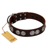 "High and Mighty" FDT Artisan Classy Brown Leather Swiss Mountain Dog Collar with Embellished Brooches
