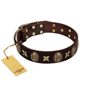 "Captain Hook" FDT Artisan Brown Leather Swiss Mountain Dog Collar with Stars and Skulls