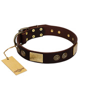 "Bow-Wow Effect" FDT Artisan Brown Leather Swiss Mountain Dog Collar with Plates and Ornate Studs