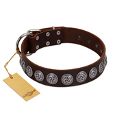 "Charming Circles" FDT Artisan Brown Leather Swiss Mountain Dog Collar with Silver-like Studs