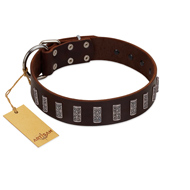 "Brown Lace" Handmade FDT Artisan Brown Leather Swiss Mountain Dog Collar for Everyday Walks