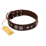 "Object of Virtu" FDT Artisan Brown Leather Swiss Mountain Dog Collar with Old Silver-like Square Studs and Pyramids