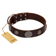 "Flashy Woof" FDT Artisan Brown Leather Swiss Mountain Dog Collar with Chrome Plated Brooches