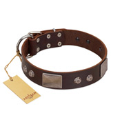 "Stone Stars" Stylish Handmade FDT Artisan Brown Leather Swiss Mountain Dog Collar