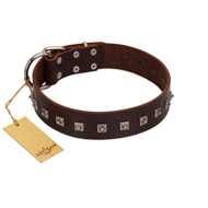 "Kingly Grace" FDT Artisan Brown Leather Swiss Mountain Dog Collar with Silver-like Dotted Studs